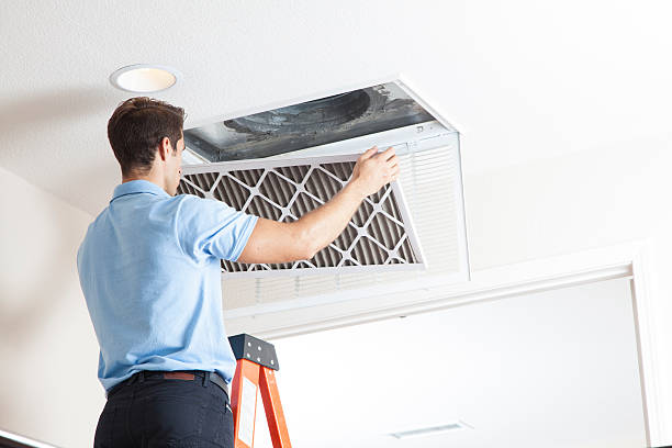 Best Air Filters and Purifiers in Nags Head, NC